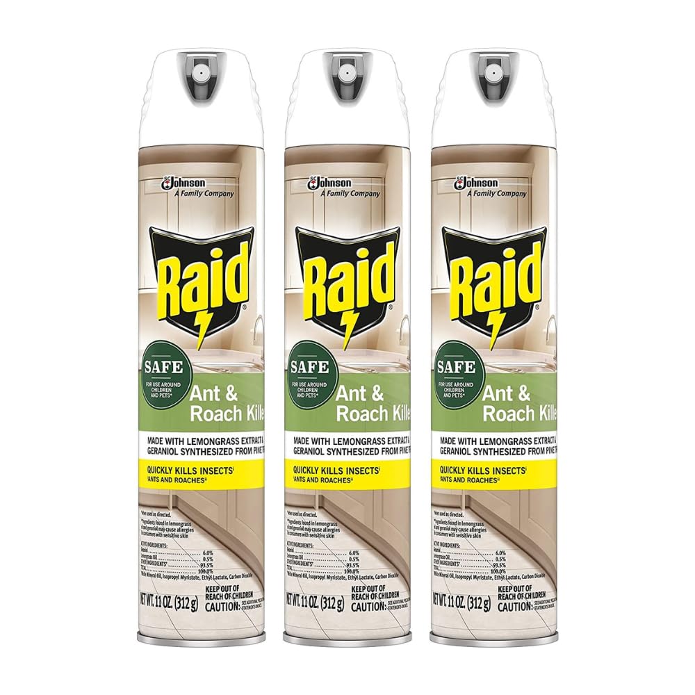 Raid aerosol frontal mostrando el envase y beneficios de control rápido
