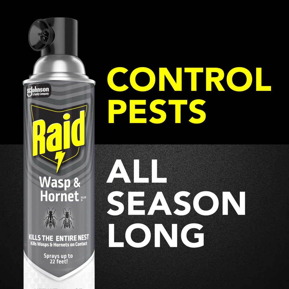 Raid lata comparada con mano para referencia de tamaño práctico