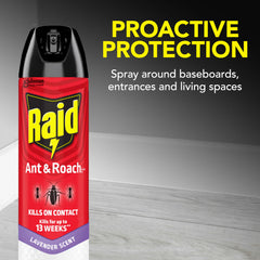 Raid rocío sobre zócalo mostrando textura y protección prolongada