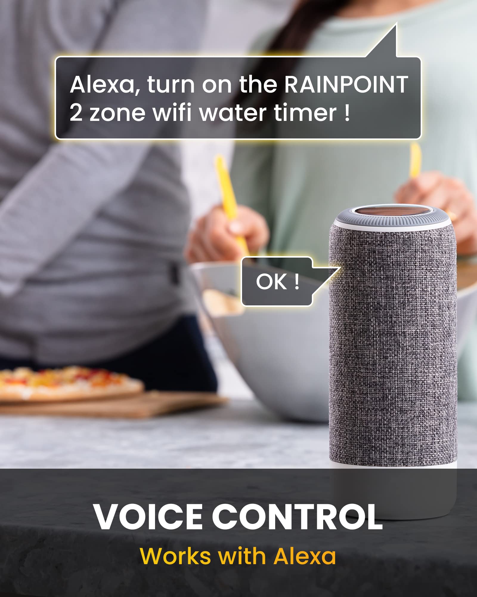 RAINPOINT closeup del medidor de caudal que registra consumo y detecta fugas
