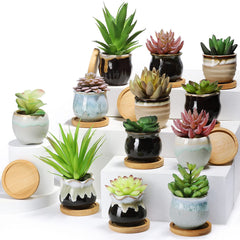 Remerry frente conjunto de 12 macetas coloridas muestra decoración