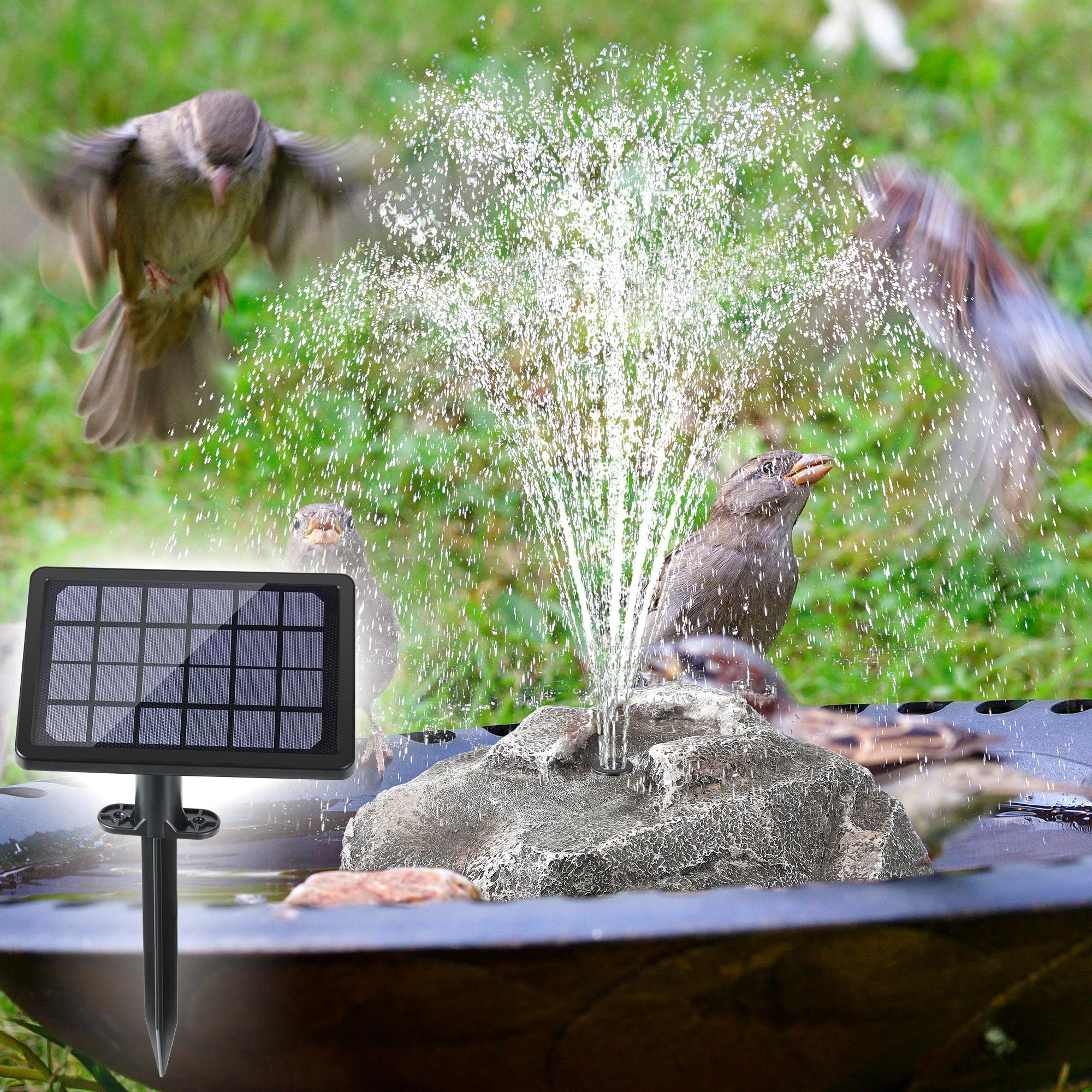 Saillong escena lifestyle con aves alrededor, añade vida y sonido al espacio exterior
