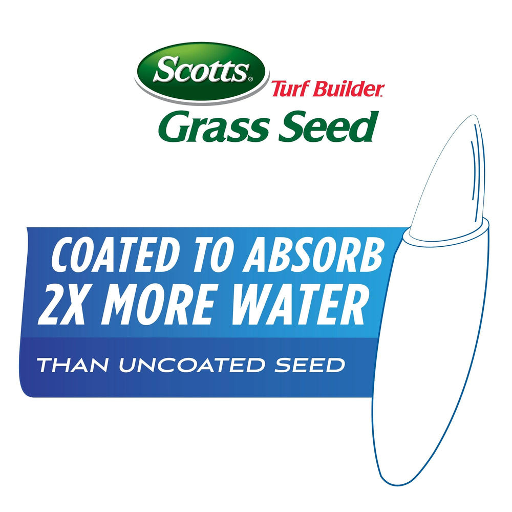 Scotts césped Tall Fescue establecido mostrando resistencia y aspecto