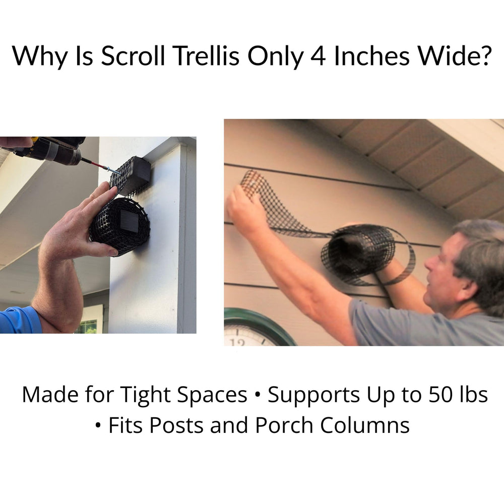 Scroll Trellis detalle del soporte compuesto resistente a la intemperie