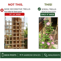 Scroll Trellis montado en poste de terraza sostiene enredaderas eficientemente