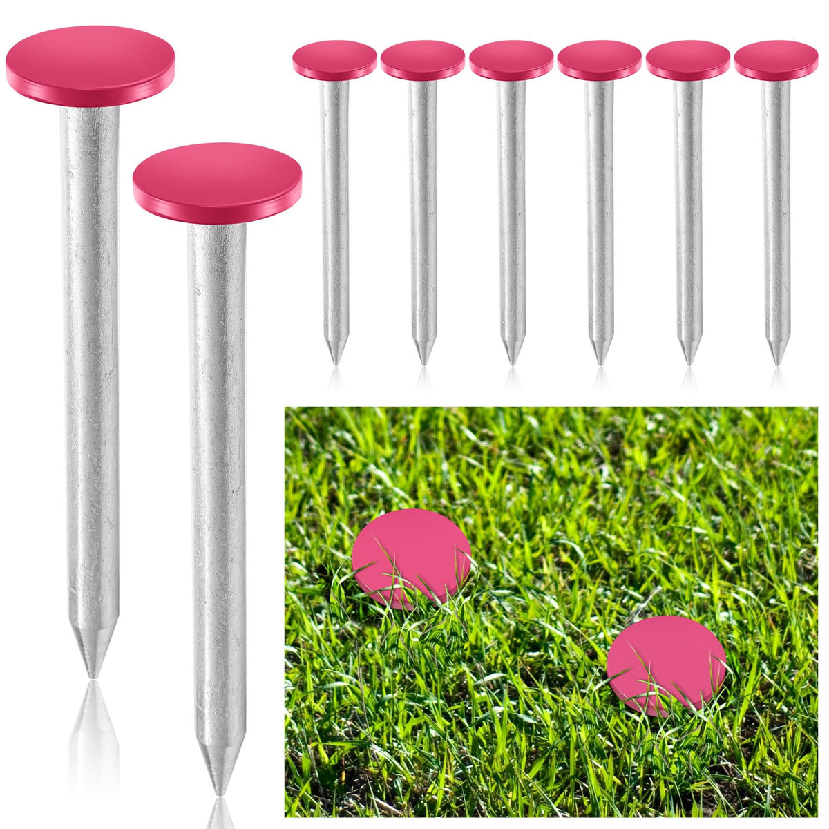 Silkfly paquete frontal con 8 estacas rosa, visibilidad y cantidad