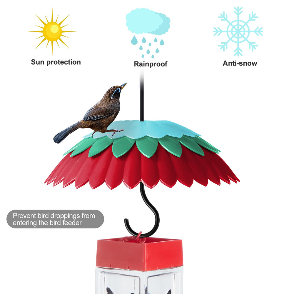 skaithee domo instalado en comedero con colibrí alimentándose