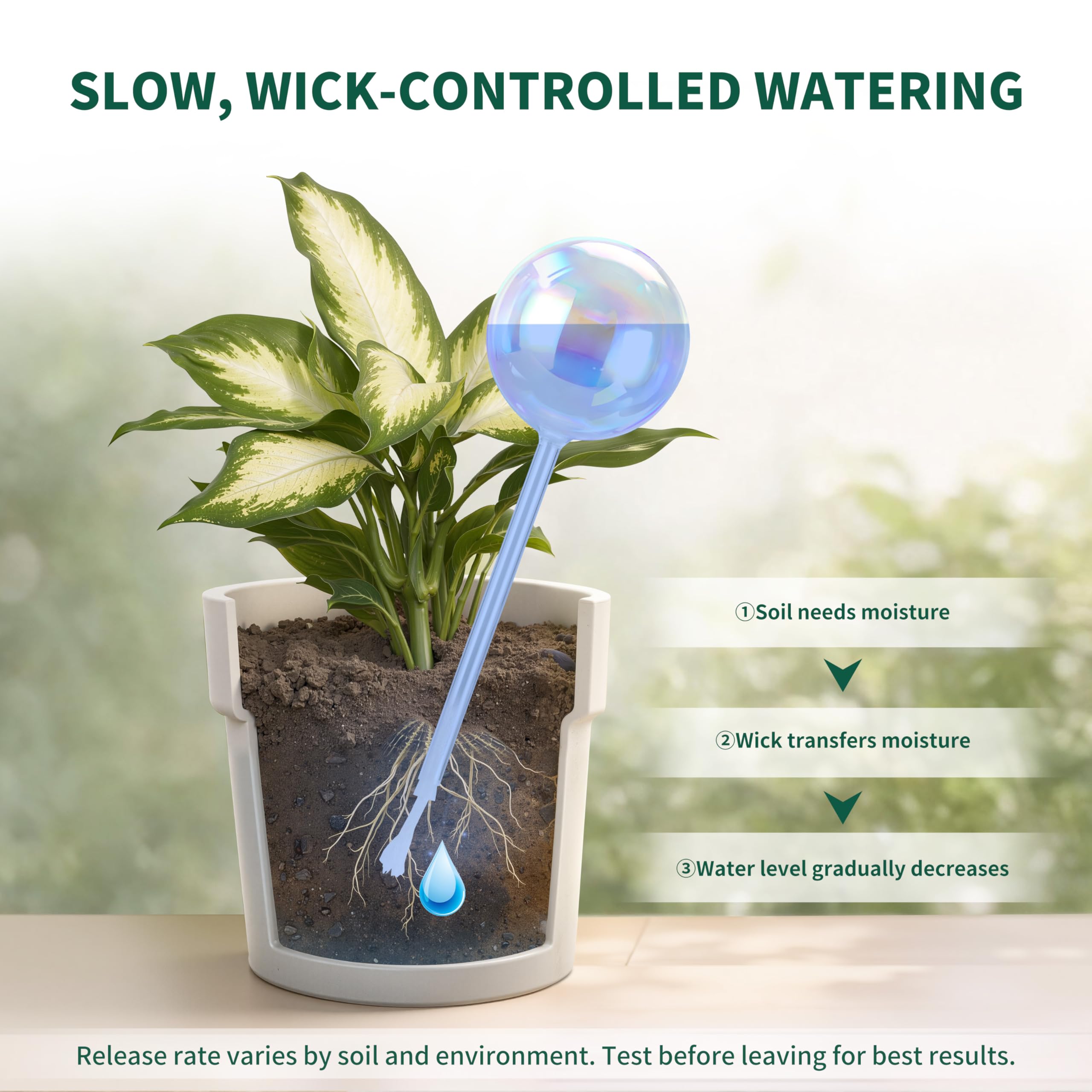 Soilagua comparación de tamaño junto a maceta mediana para escala práctica