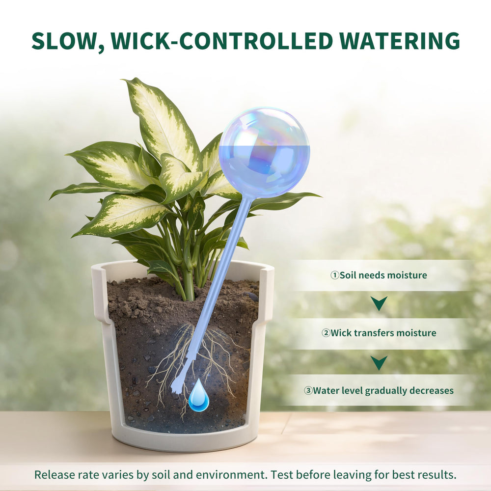 Soilagua comparación de tamaño junto a maceta mediana para escala práctica