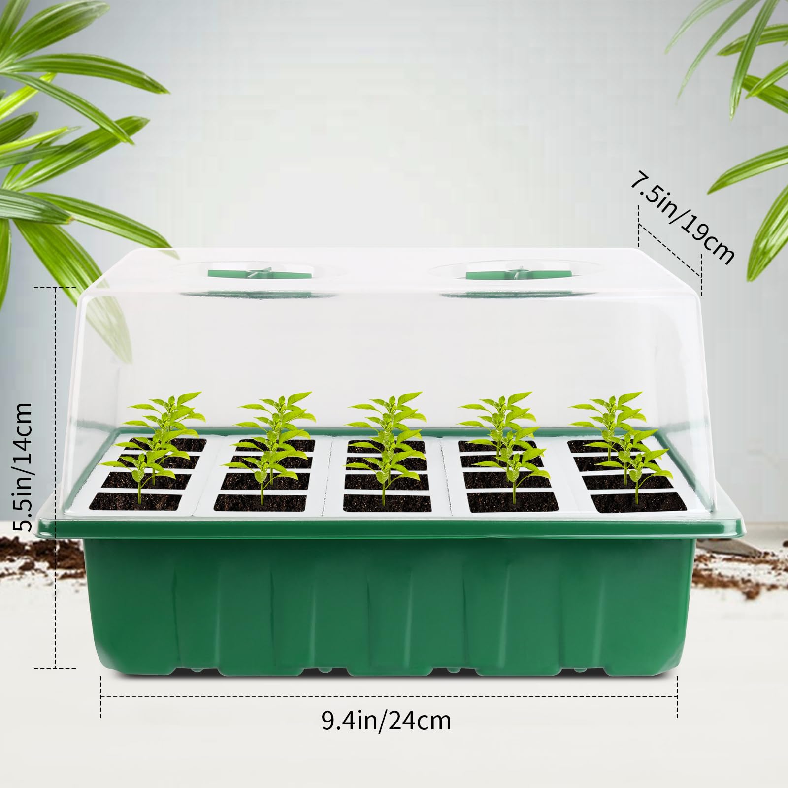 Tapa transparente Sondiko con ventilaciones ajustables para regular humedad