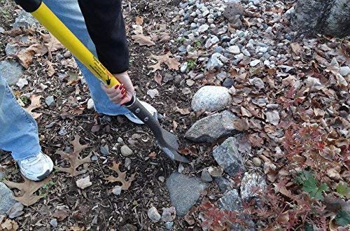 Spear Head Spade pala en uso cavando alrededor de un arbusto en jardín