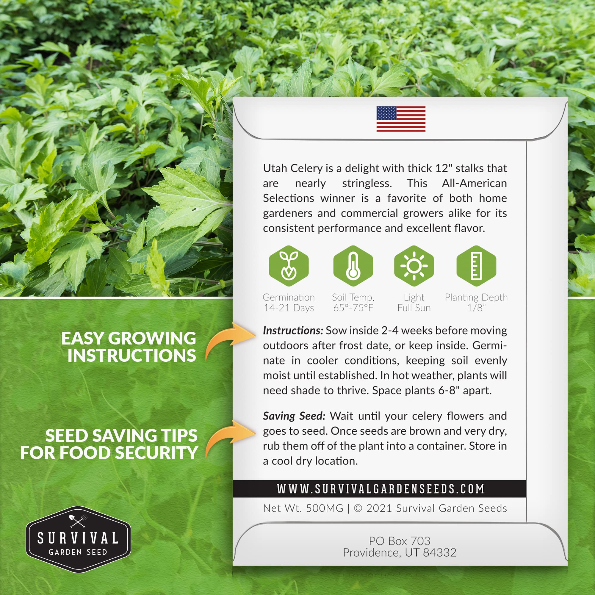 SURVIVAL GARDEN SEEDS tallos crujientes detalle de textura ideal para cocina
