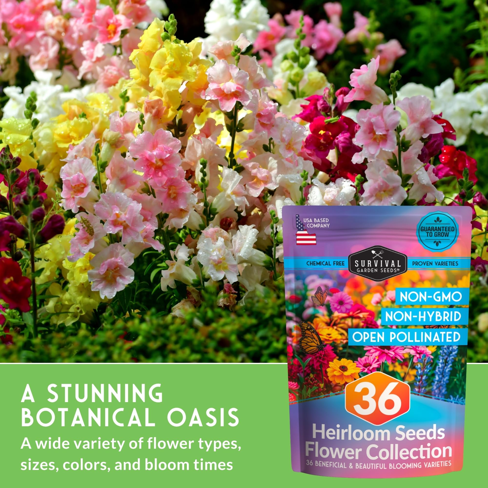 SURVIVAL GARDEN SEEDS campo de flores silvestres que atrae polinizadores