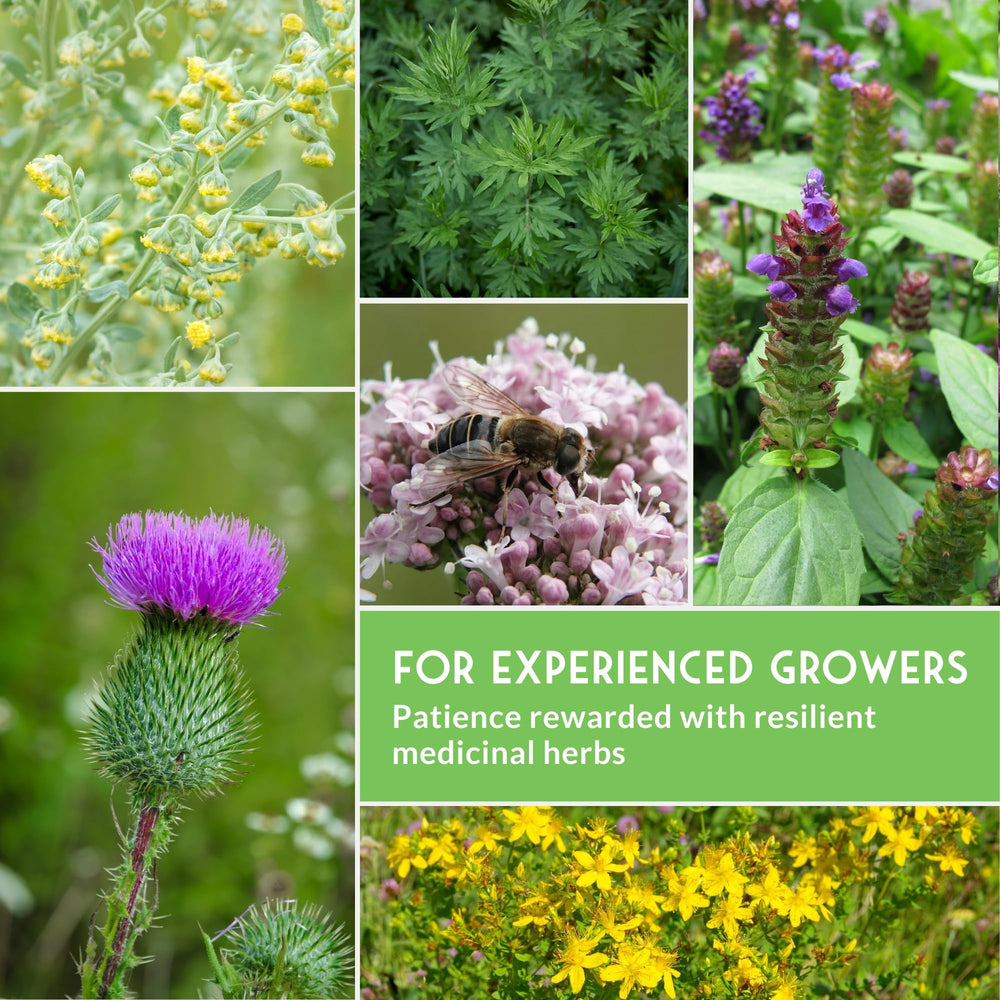 SURVIVAL GARDEN SEEDS ocho macetas con cada especie para referencia de cultivo