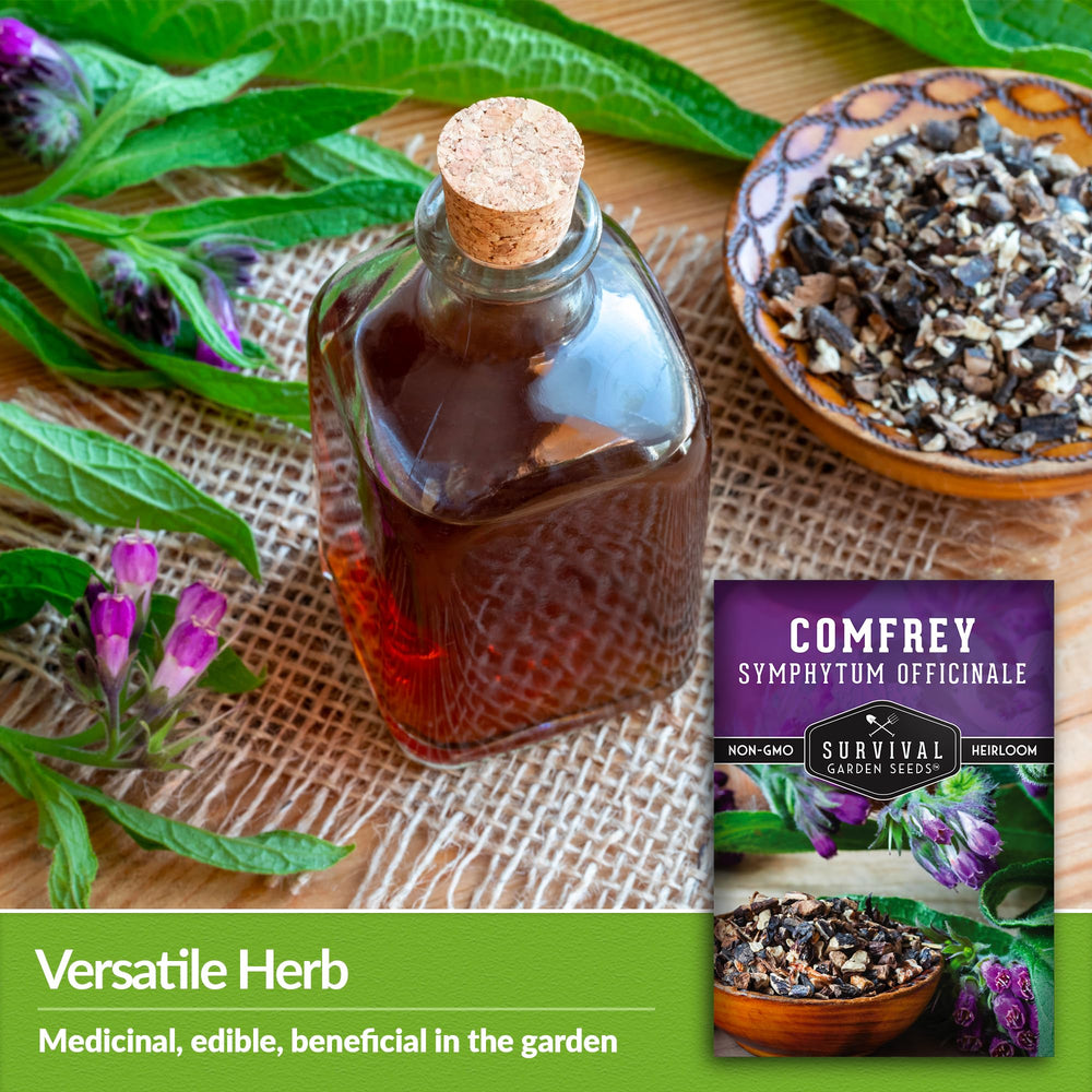 SURVIVAL GARDEN SEEDS flor de consuelda destacando atractivo para polinizadores