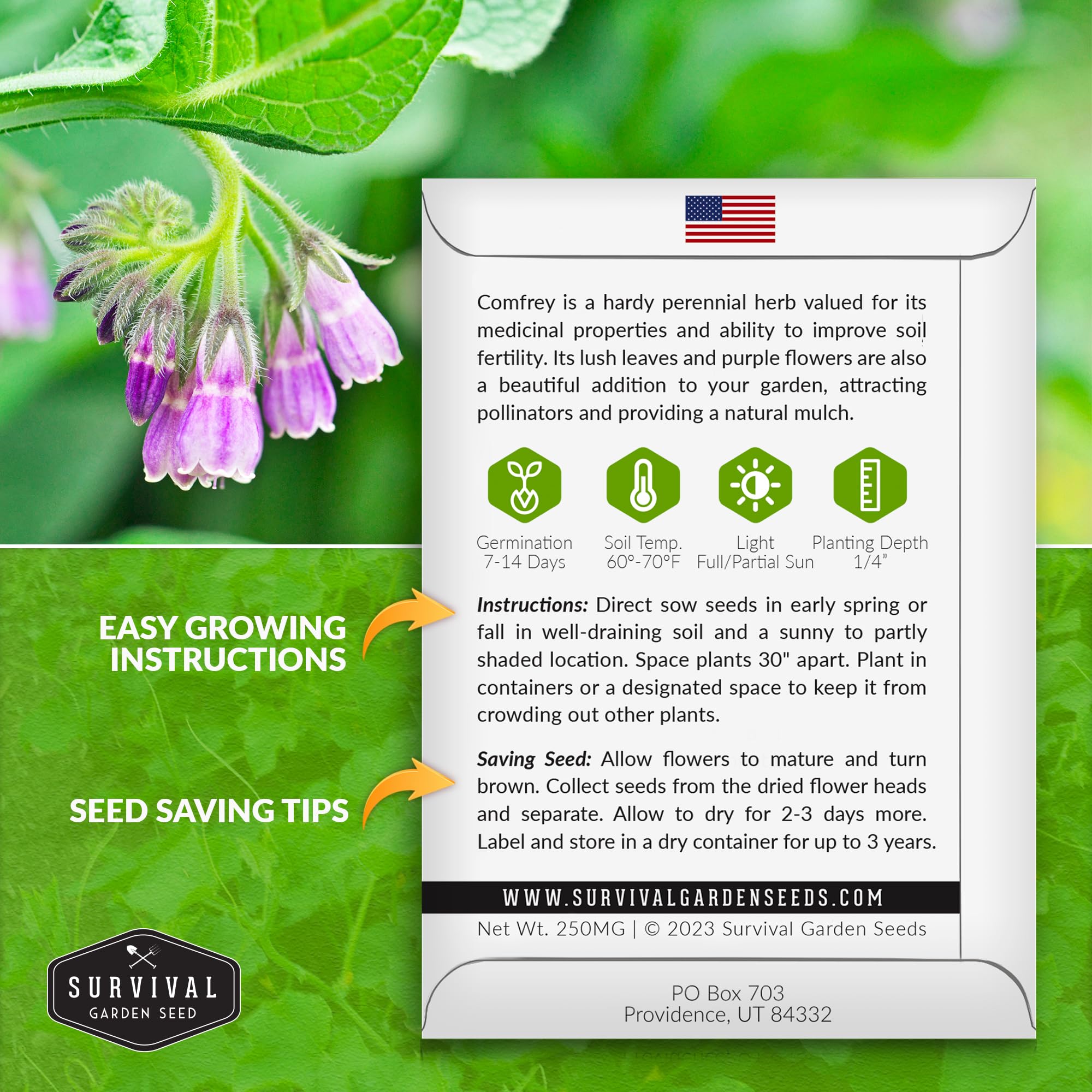 SURVIVAL GARDEN SEEDS plántulas de consuelda en semillero para inicio rápido