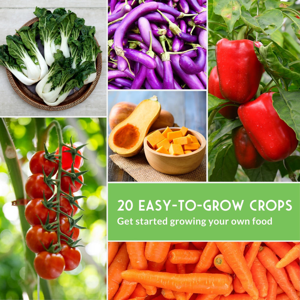 SURVIVAL GARDEN SEEDS huerto en parcela con cultivos variados y saludables