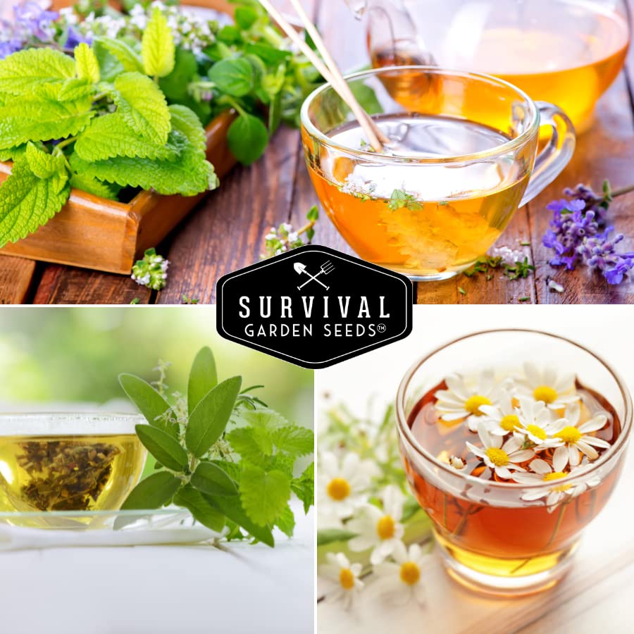 SURVIVAL GARDEN SEEDS mano sosteniendo hojas de melisa y menta para recetas y tés