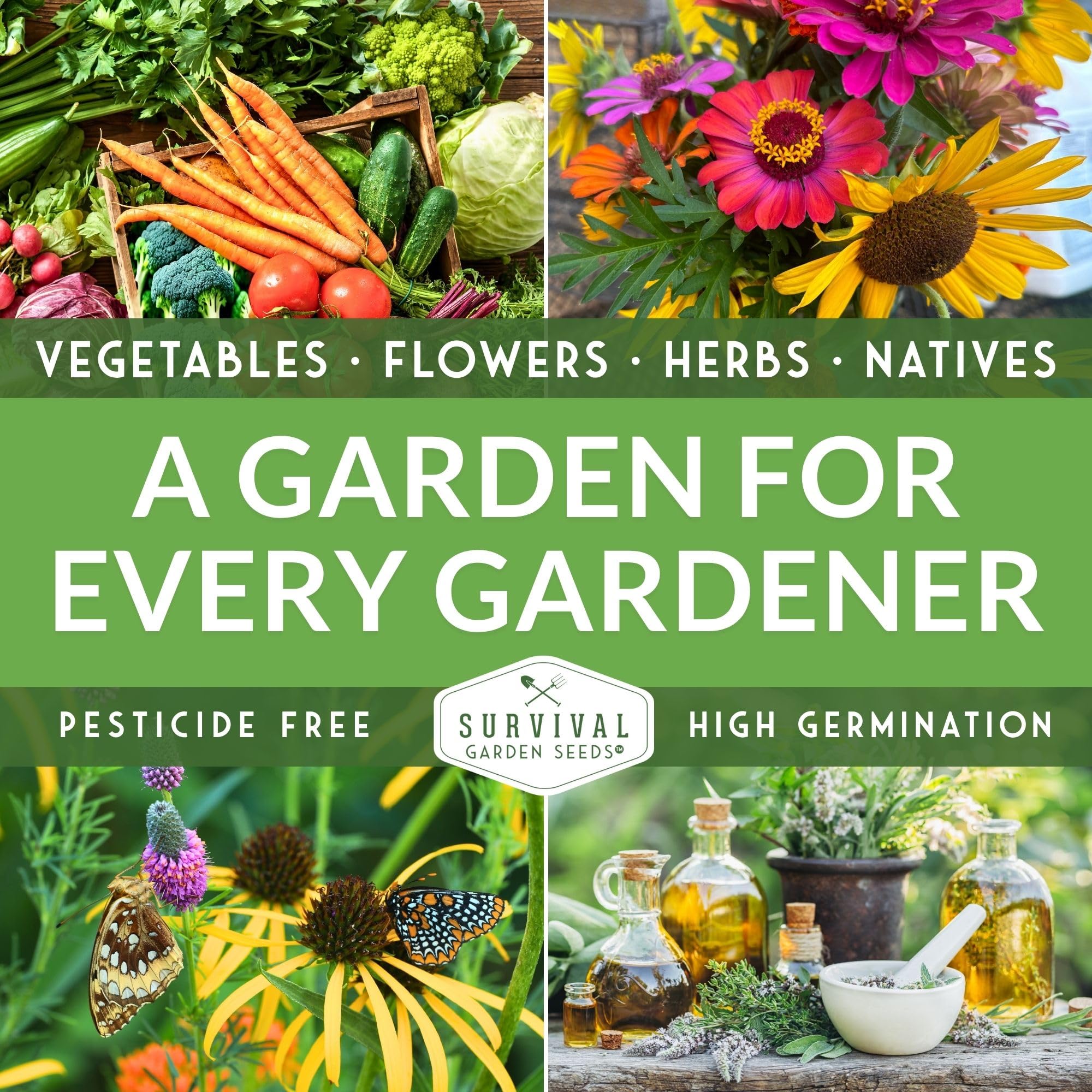 SURVIVAL GARDEN SEEDS porción de edamame Midori Giant servida lista para comer