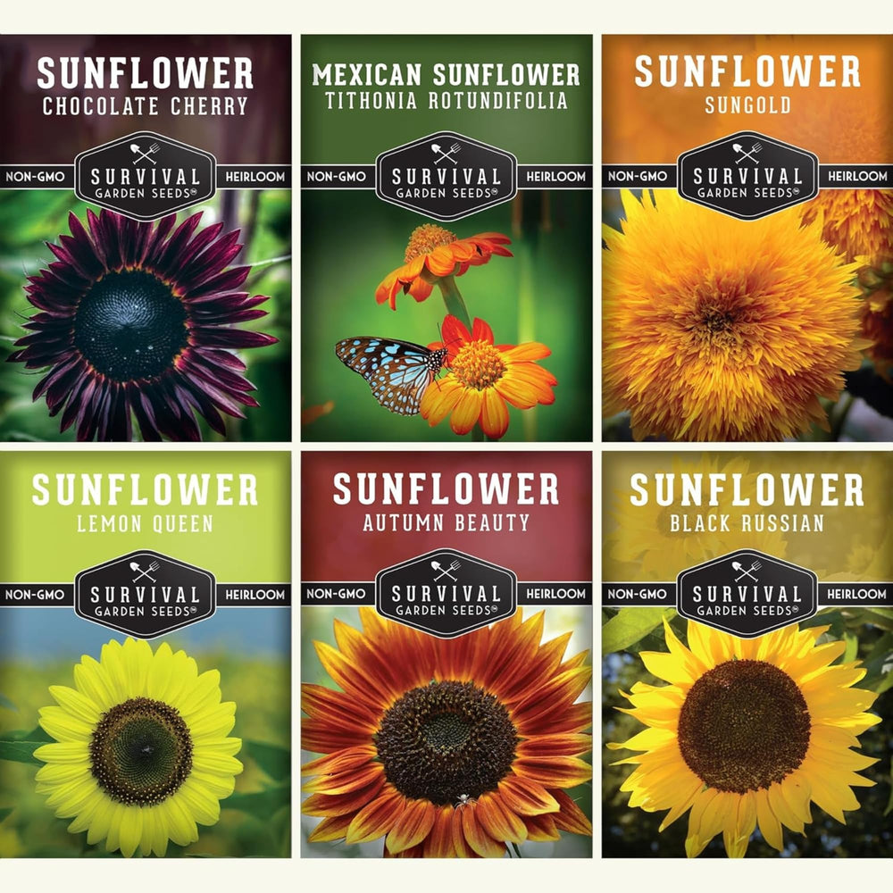 SURVIVAL GARDEN SEEDS empaque frontal con seis variedades, identificación clara