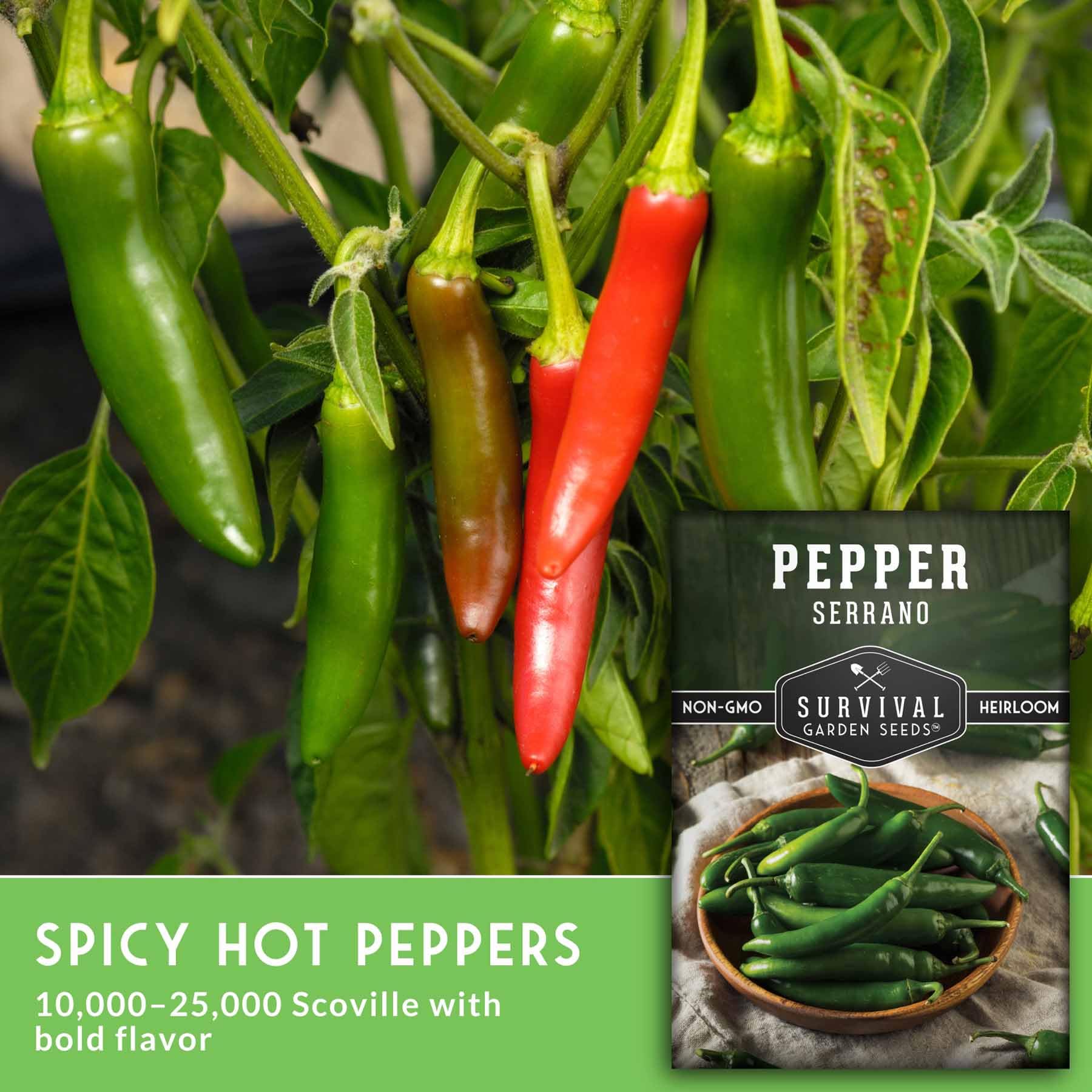 SURVIVAL GARDEN SEEDS planta en maceta con múltiples frutos saludables