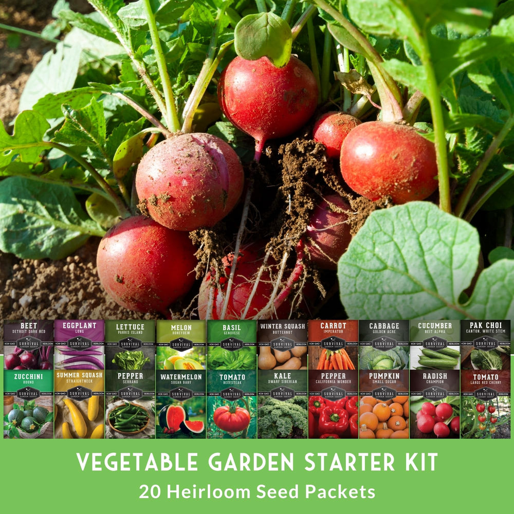 SURVIVAL GARDEN SEEDS semillas mezcladas mostrando diversidad y calidad