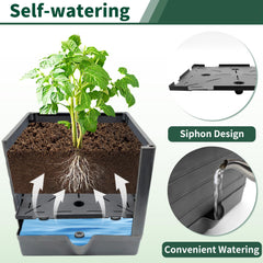 SYITCUN enrejado metálico en uso sosteniendo tomates, mejora soporte y ventilación