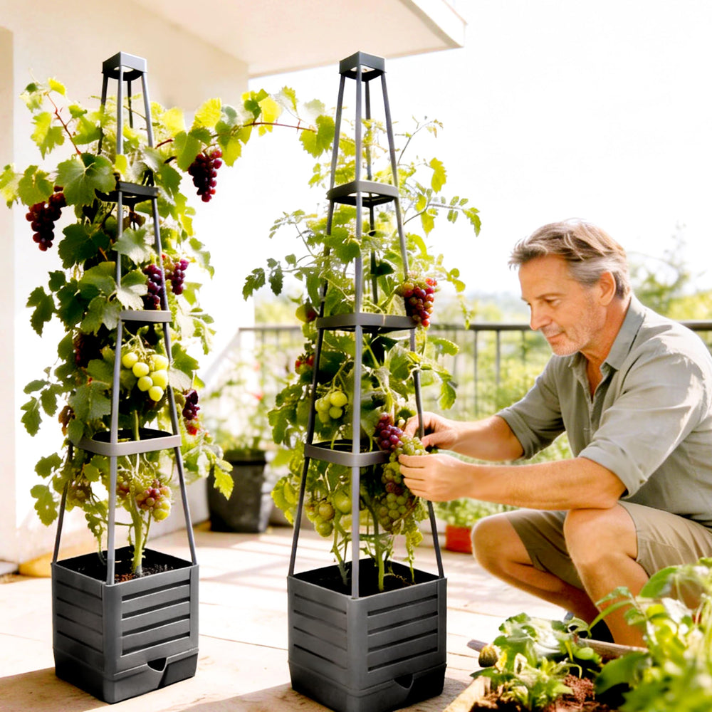 SYITCUN macetero en patio urbano que maximiza espacio de cultivo