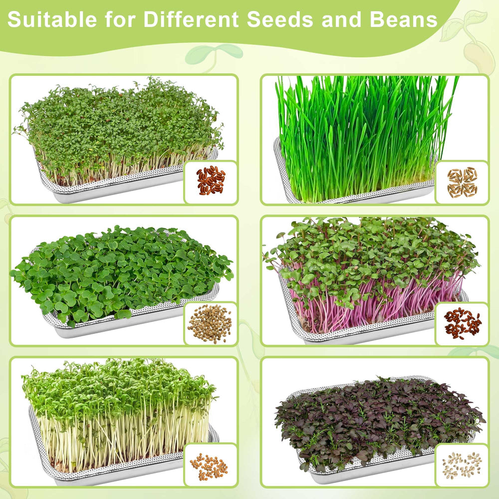 TCYPUHL microgreens en uso en cocina, ingredientes frescos al momento