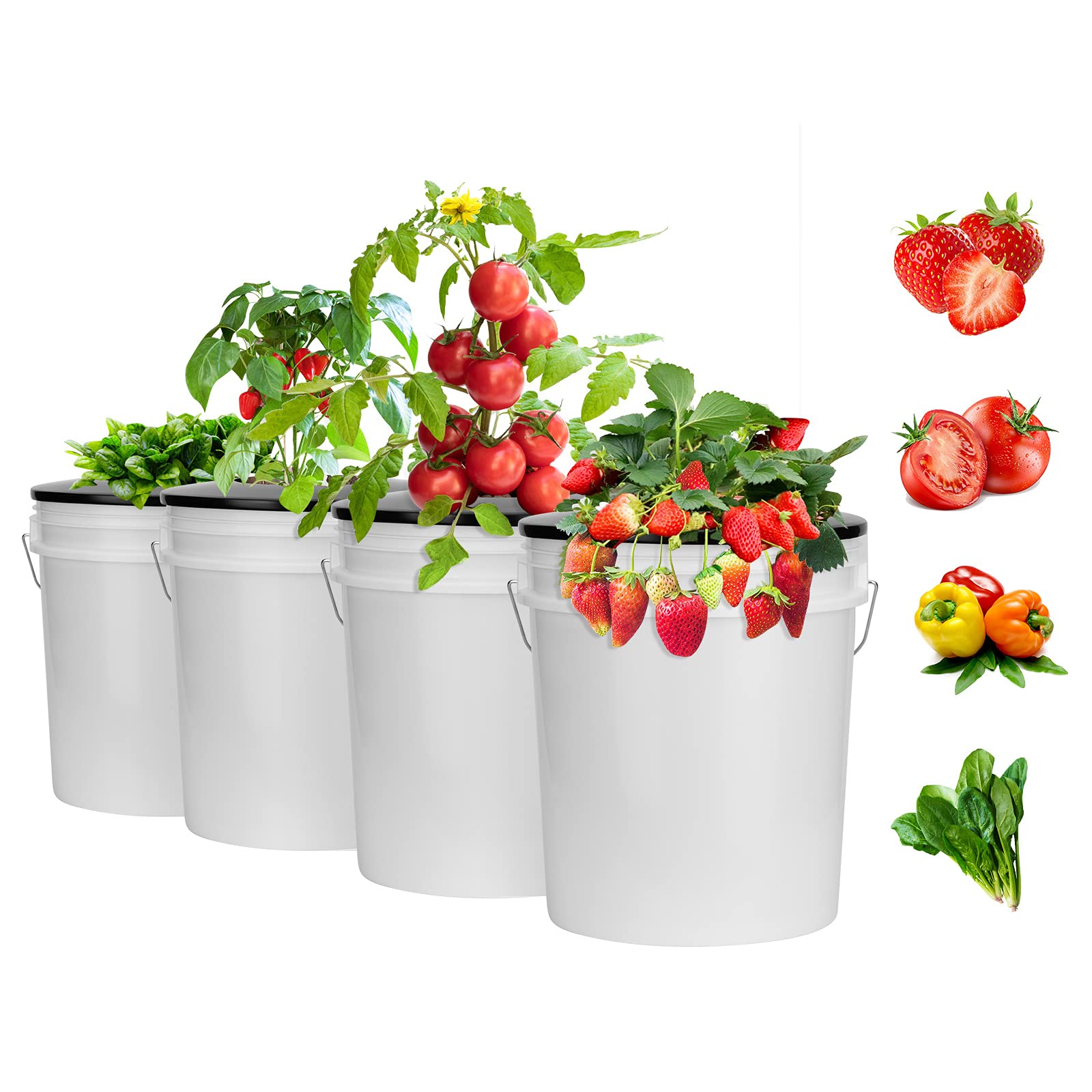 Tectsia en entorno de jardín hidropónico, facilita cultivo sano