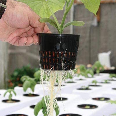Tectsia paquete de 12 net pots listo para proyectos de cultivo múltiples
