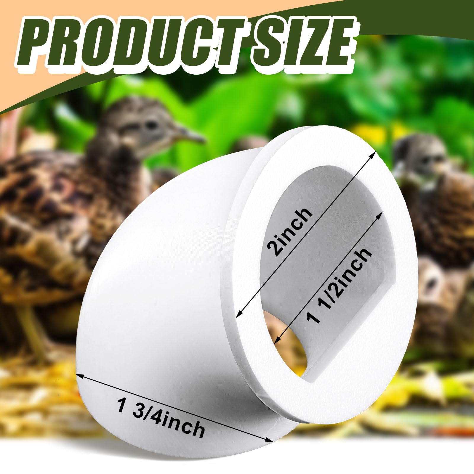 Teenyyou primer plano PETG resistente, durabilidad y limpieza