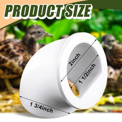 Teenyyou primer plano PETG resistente, durabilidad y limpieza