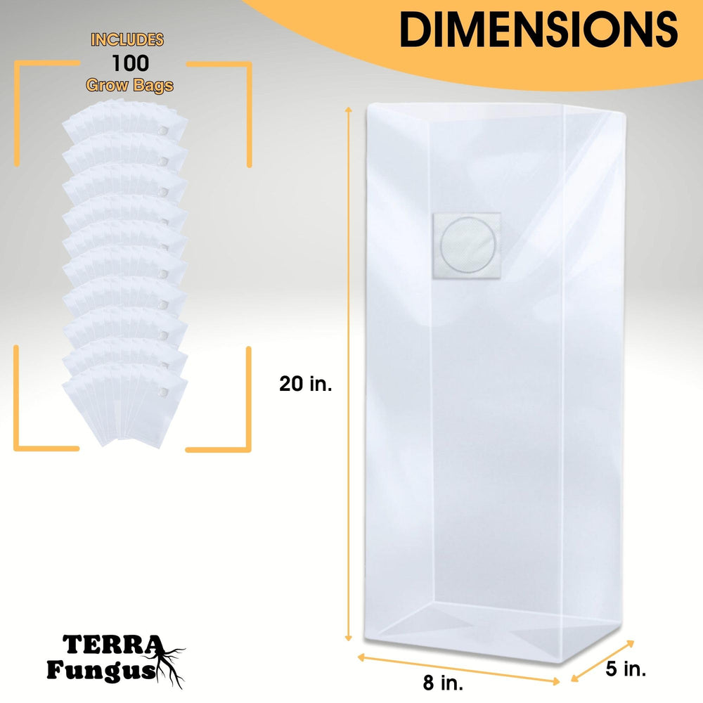 Terra Fungus parche filtro 0,2 micras garantizando intercambio seguro