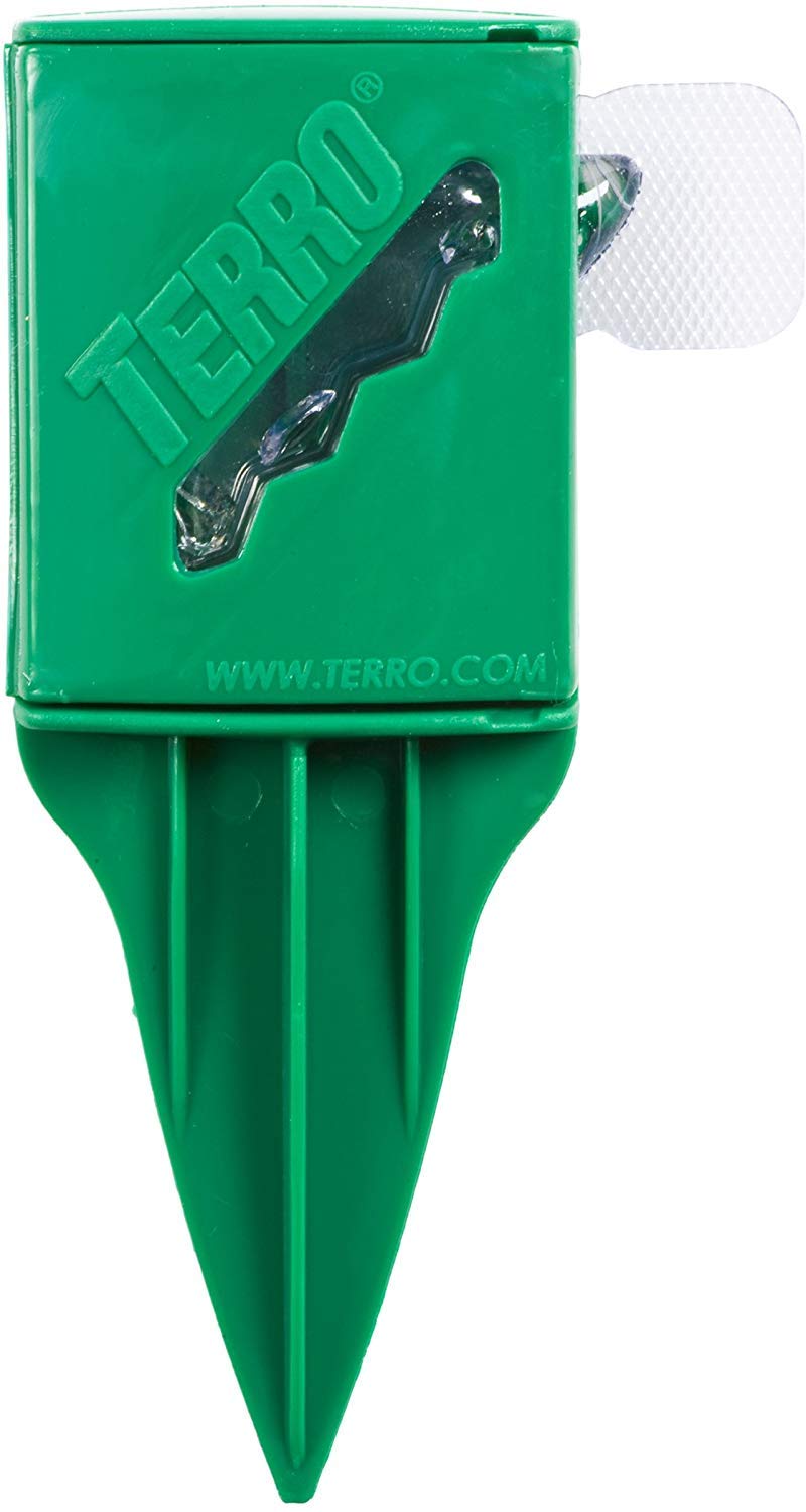 Terro estaca insertada en suelo cerca de entrada para interceptar hormigas
