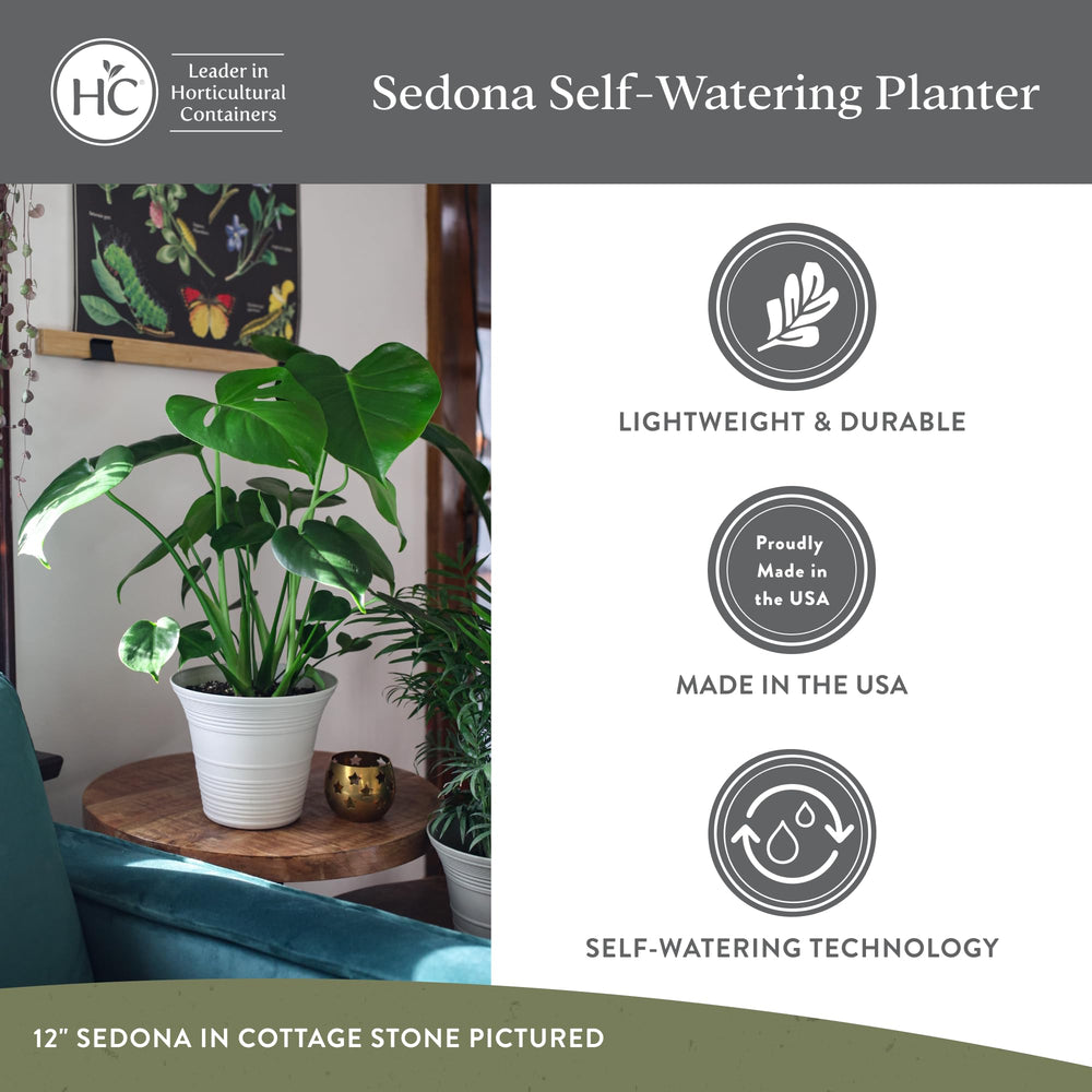 The HC Companies maceta Sedona con planta de follaje, muestra resultado estético funcional