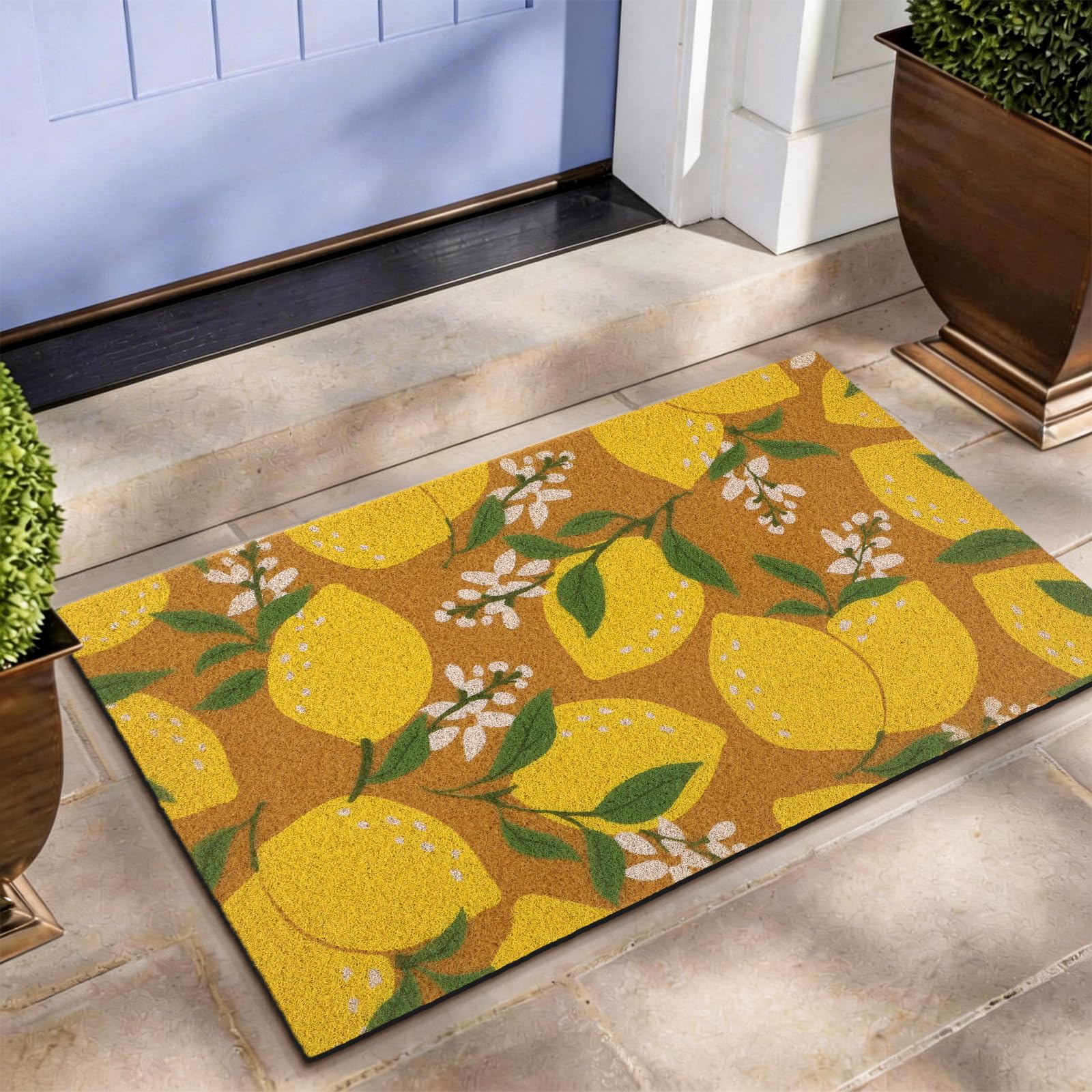 Tinideya felpudo frontal con limones y flores, entrada con estilo