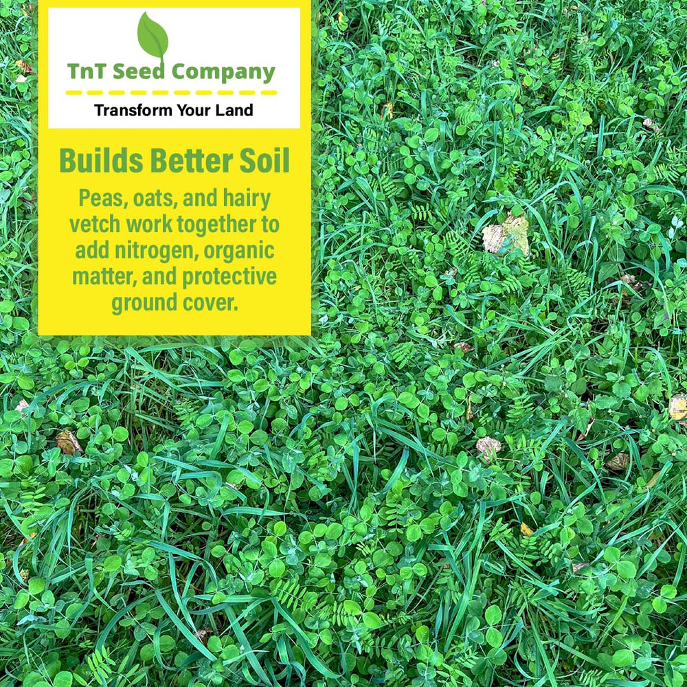 TnT Seed Company cobertura densa en huerto que suprime malezas y protege suelo