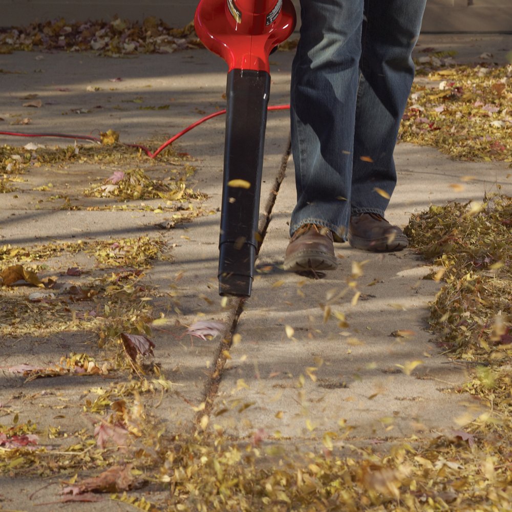 Toro 51609 junto a una regla para mostrar tamaño y portabilidad