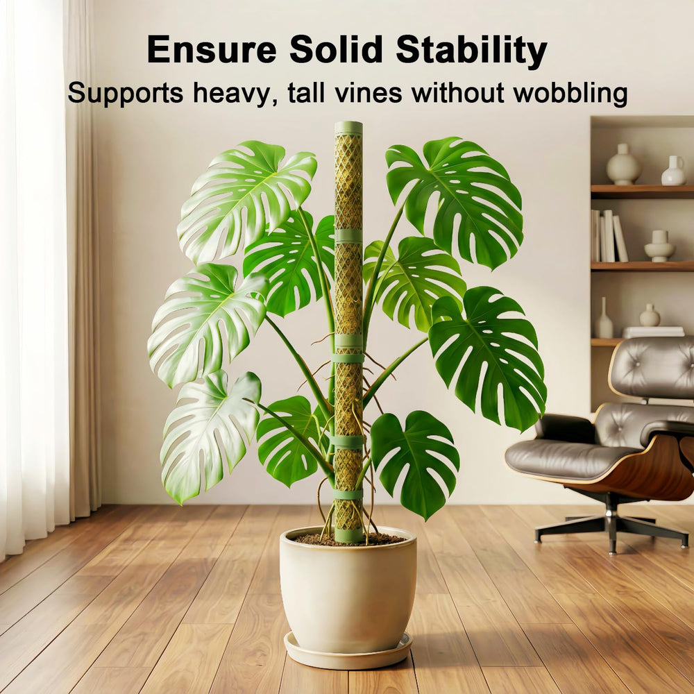 Unijoy planta monstera trepando en interior con soporte para hojas mayores