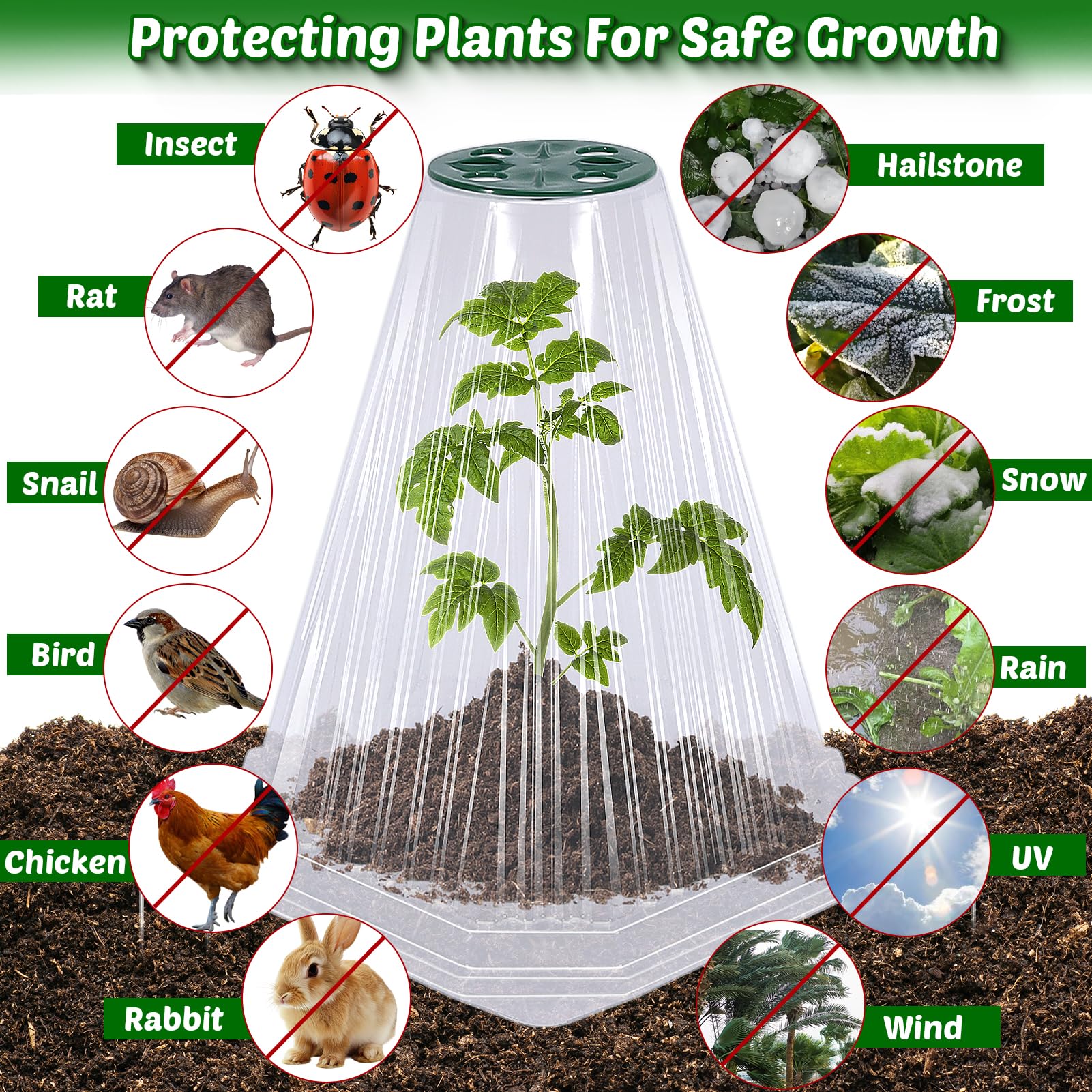 VICAMB cloches instaladas en un bancal protegiendo varias plantas
