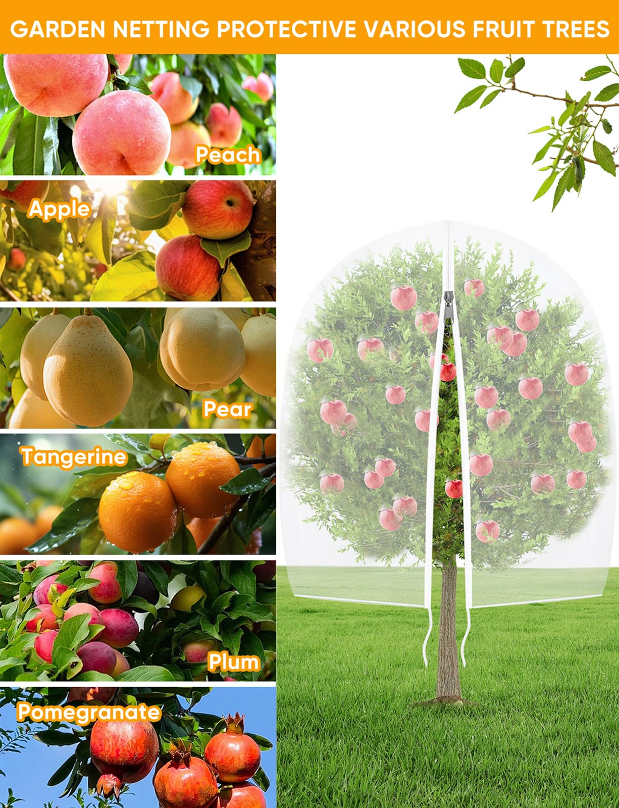 VITI malla colocada en árbol frutal protegiendo frutos y ramas