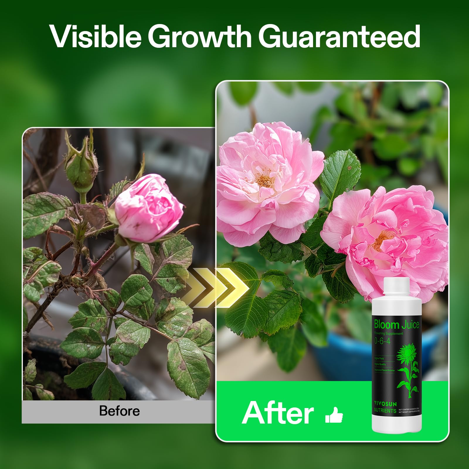 VIVOSUN Bloom Juice en uso al regar plantas mejora floración
