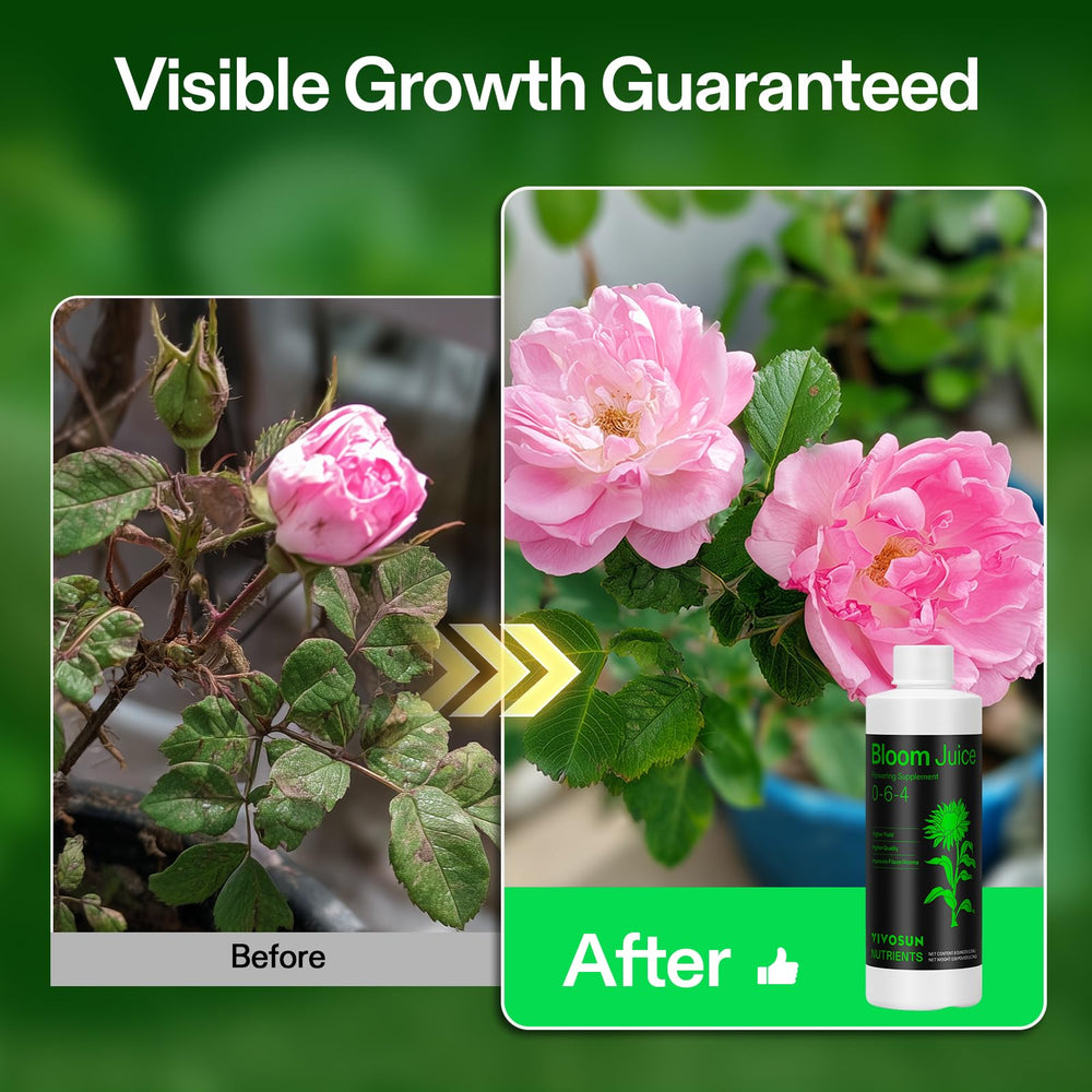VIVOSUN Bloom Juice en uso al regar plantas mejora floración