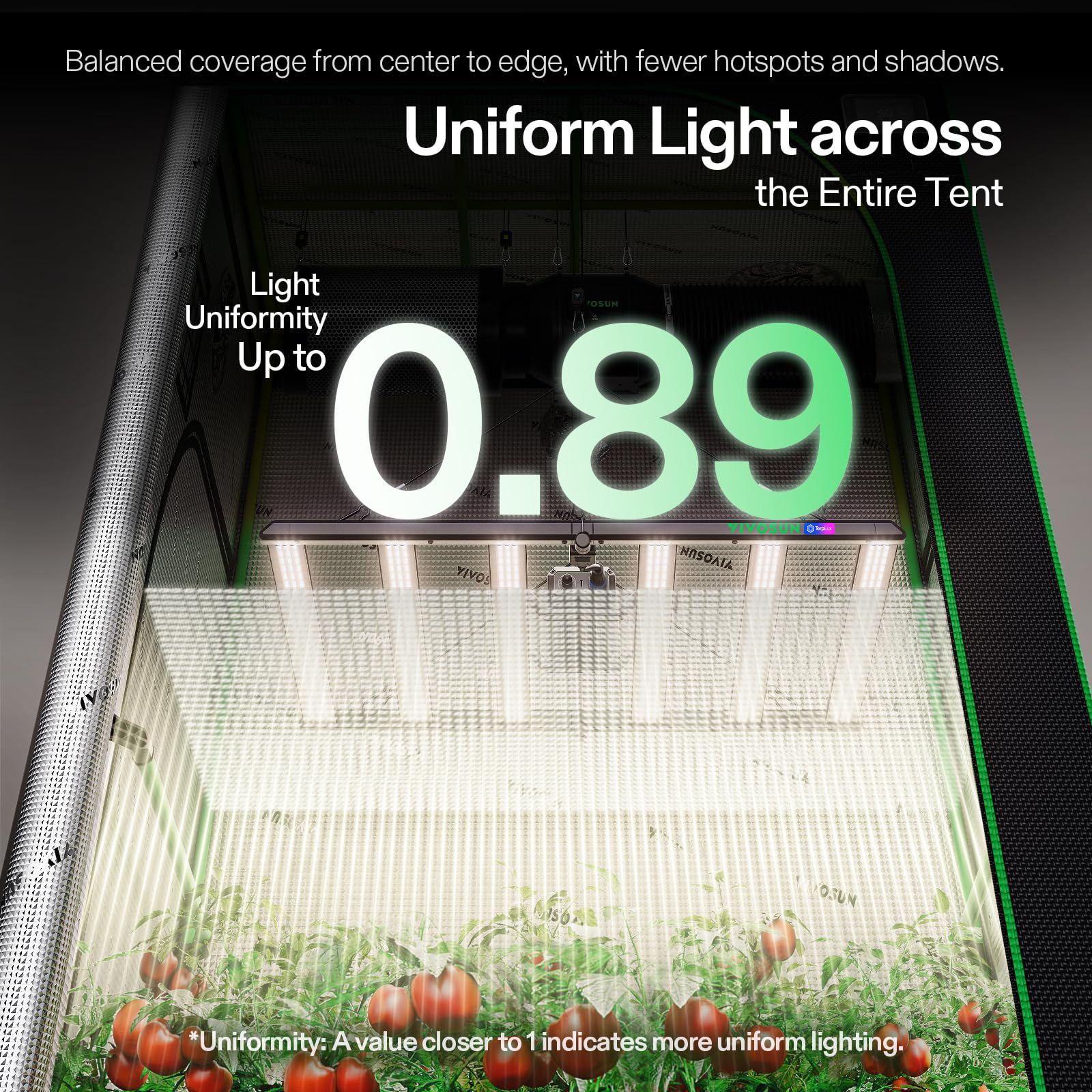 VIVOSUN LumaLight en carpa mostrando iluminación homogénea de cultivo