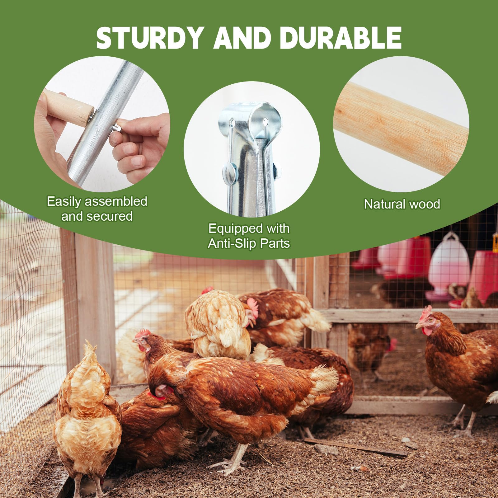Wenqik comparación de tamaño mostrando escala real y capacidad de aves