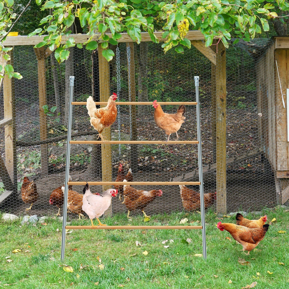 Wenqik gallinas posadas en varios niveles que fomentan su comportamiento natural