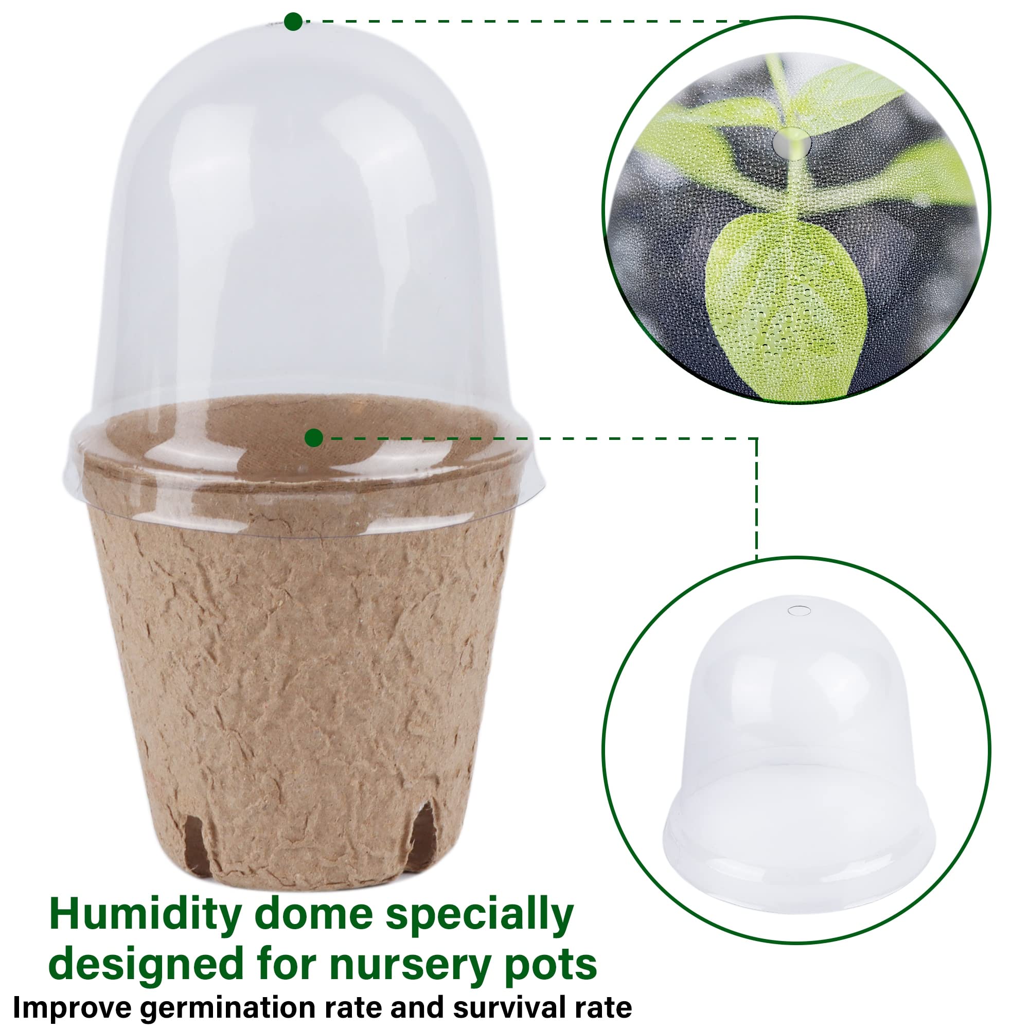 winemana cúpula transparente con ventilación manteniendo humedad estable