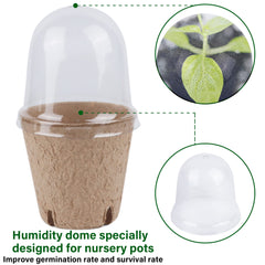 winemana cúpula transparente con ventilación manteniendo humedad estable
