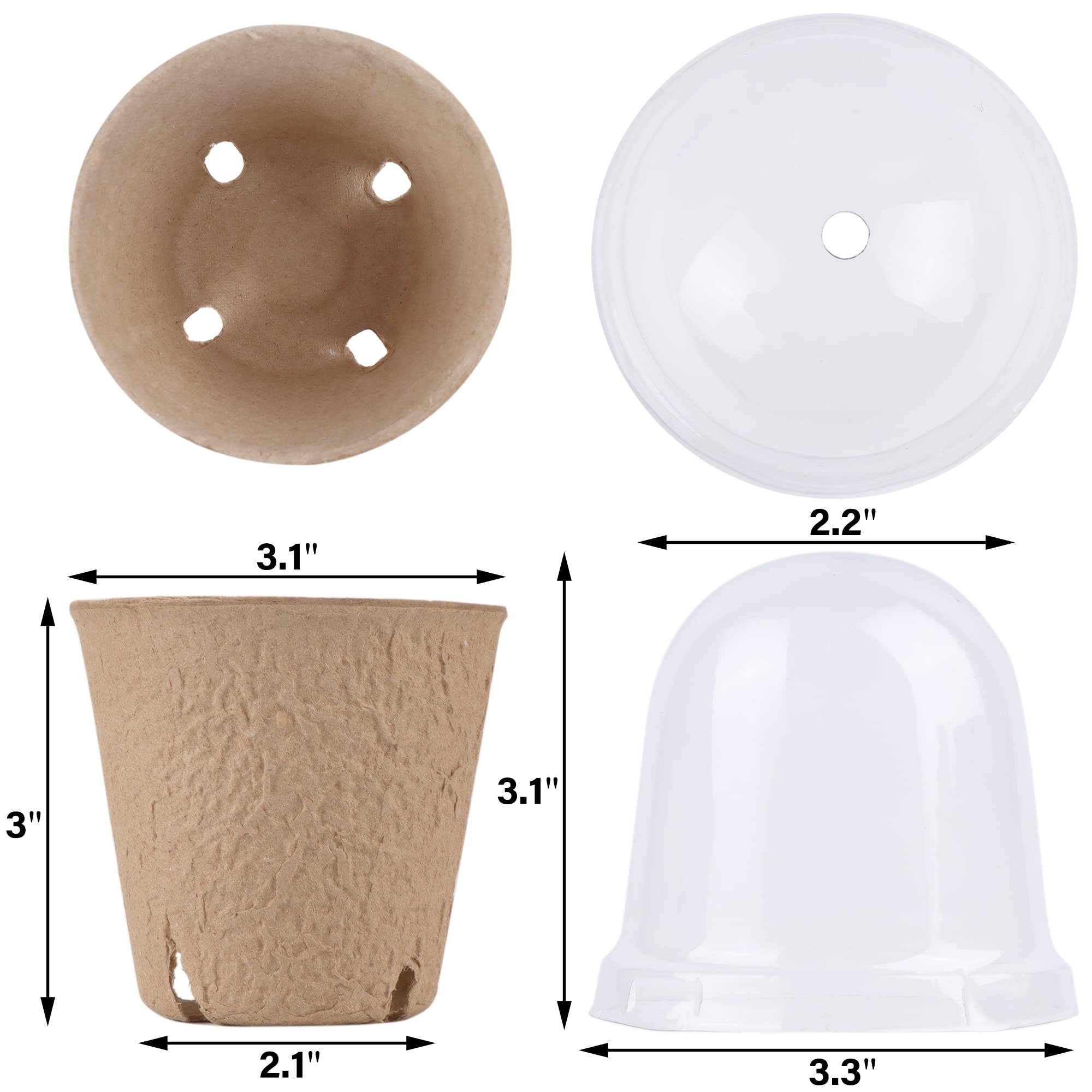 winemana textura de maceta de turba biodegradable mostrando porosidad beneficiosa